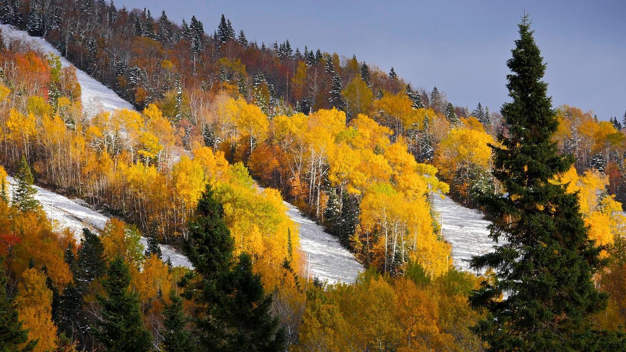 Les Bouleaux - Les Chalets Spa Canada La Malbaie Exteriör bild